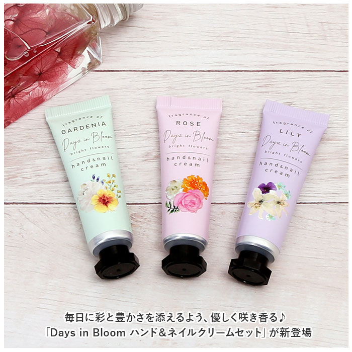 BACKYARD FAMILY「ハンドクリーム セット 通販 ネイルクリーム ギフト 贈り物 母の日 誕生日 記念日 スキンケア」|マッサージ・ボディスクラブ|