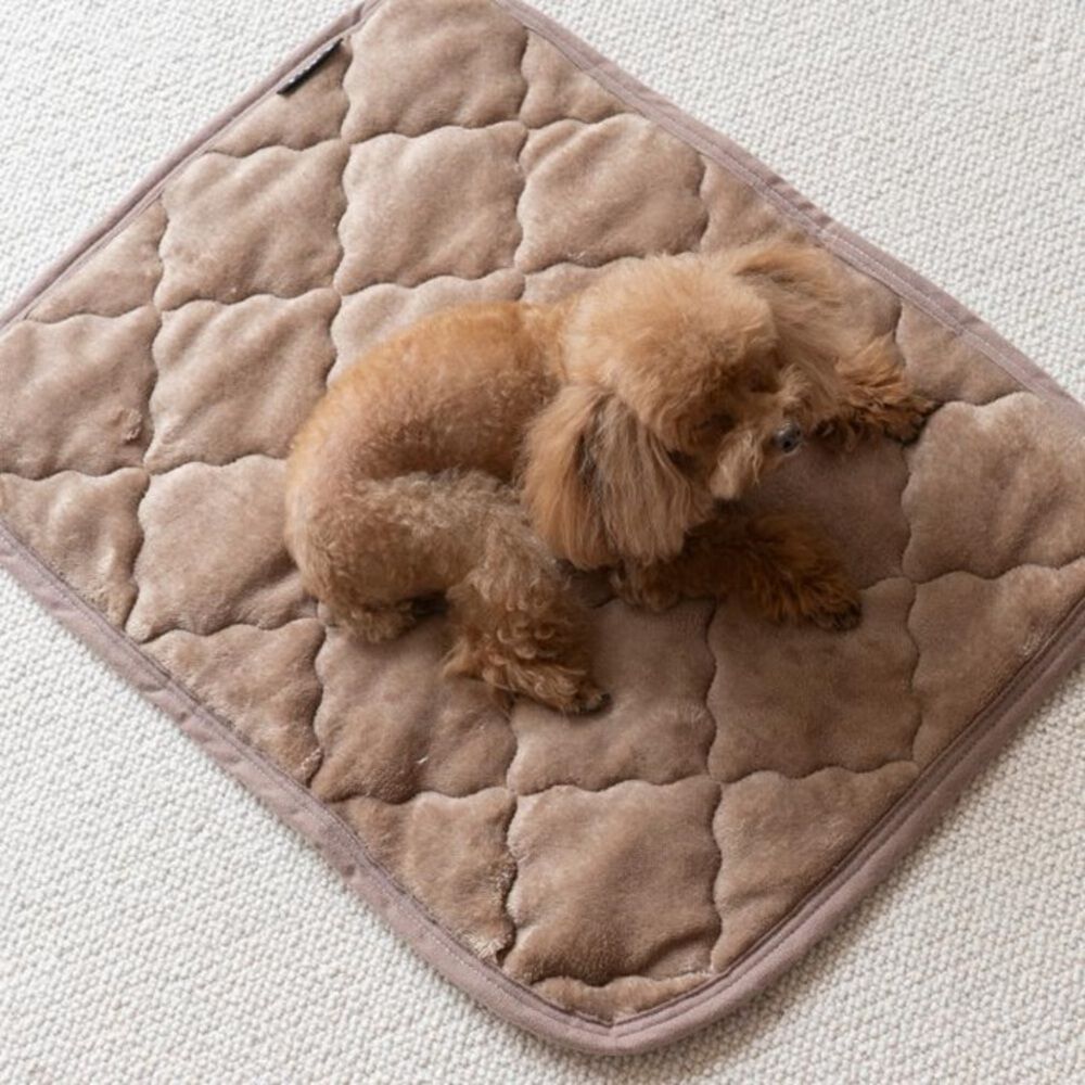 BACKYARD FAMILY「ペット用 パッド M 通販 犬用マット ペット用マット ペットマット ペットパッド ペット用パッド」|その他|ブラック1