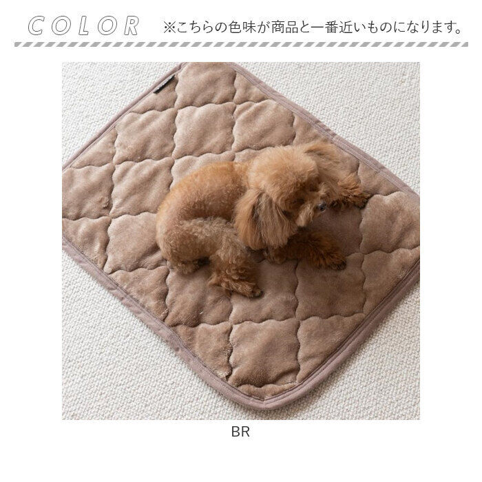 BACKYARD FAMILY「ペット用 パッド M 通販 犬用マット ペット用マット ペットマット ペットパッド ペット用パッド」|その他|