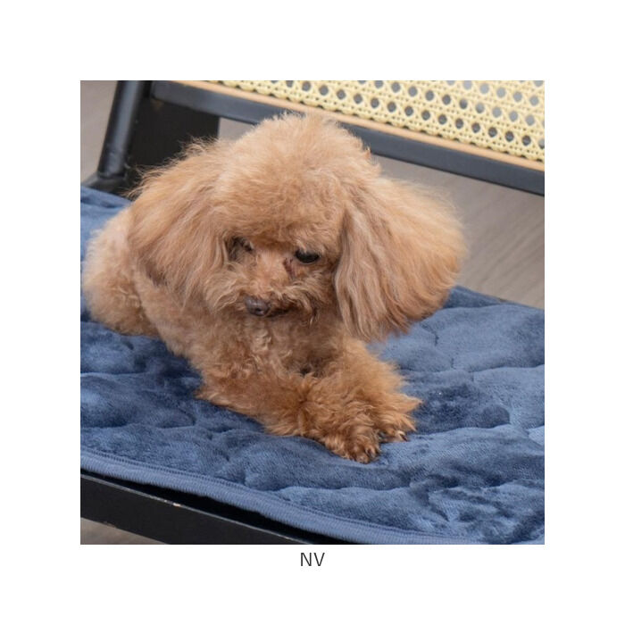 BACKYARD FAMILY「ペット用 パッド M 通販 犬用マット ペット用マット ペットマット ペットパッド ペット用パッド」|その他|