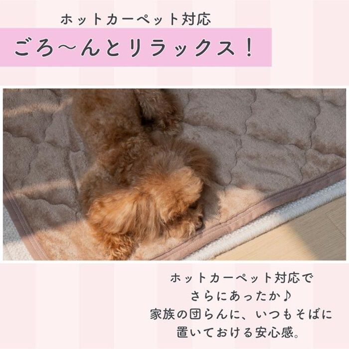 BACKYARD FAMILY「ペット用 パッド M 通販 犬用マット ペット用マット ペットマット ペットパッド ペット用パッド」|その他|