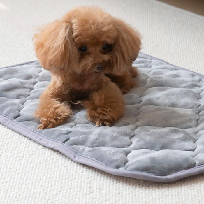 BACKYARD FAMILY「ペット用 パッド L 通販 犬用マット ペット用マット ペットマット ペットパッド ペット用パッド」|その他|