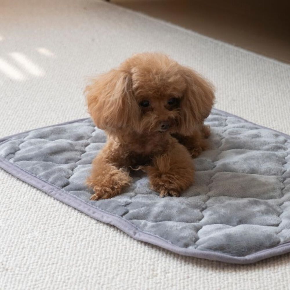 BACKYARD FAMILY「ペット用 パッド L 通販 犬用マット ペット用マット ペットマット ペットパッド ペット用パッド」|その他|グレー1