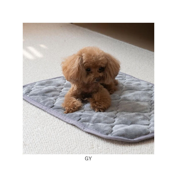 BACKYARD FAMILY「ペット用 パッド LL 通販 犬用マット ペット用マット ペットマット ペットパッド」|その他|