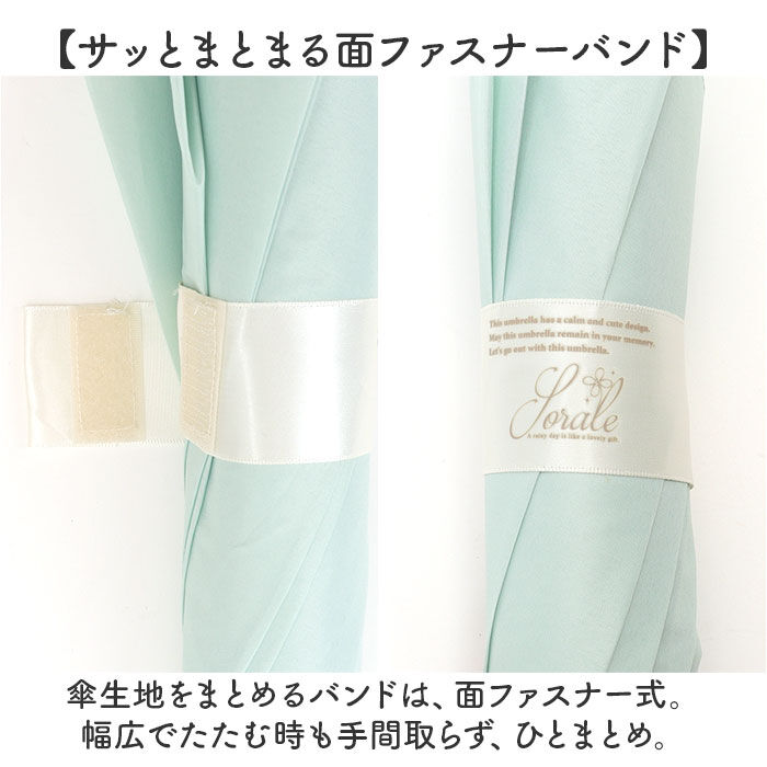 BACKYARD FAMILY「ジャンプ傘 レディース 60cm 通販 ジャンプ 傘 長傘 雨傘 かさ カサ ワンタッチ 大きめ」|傘|