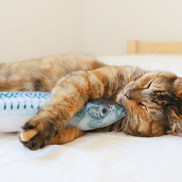 BACKYARD FAMILY「猫 おもちゃ 魚 通販 一人遊び ネコ ねこ ぬいぐるみ 抱き枕 蹴るおもちゃ リアル お魚 噛む」|その他|
