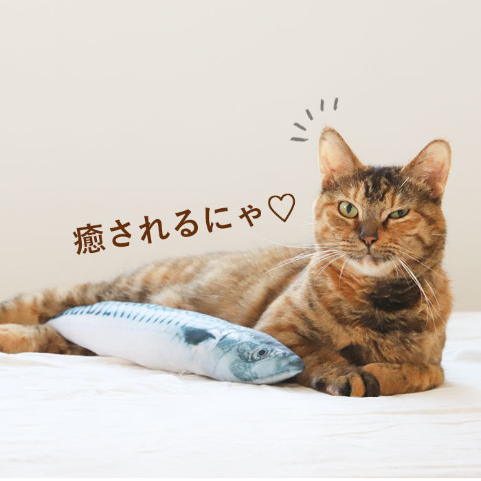 BACKYARD FAMILY「猫 おもちゃ 魚 通販 一人遊び ネコ ねこ ぬいぐるみ 抱き枕 蹴るおもちゃ リアル お魚 噛む」|その他|