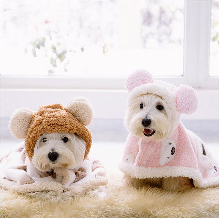 BACKYARD FAMILY「ペット ブランケット 毛布 通販 犬 猫 犬用 猫用 防寒 暖かい ドッグウエア ペット服 ケープ」|その他|