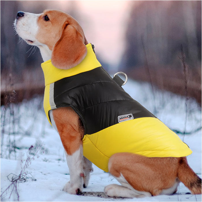 BACKYARD FAMILY「ペット ジャケット ハーネス 反射 通販 犬服 犬の服 防寒着 ドッグウェア」|その他|