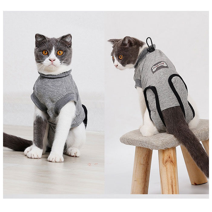 BACKYARD FAMILY「猫 術後服 通販 服 ねこ 傷舐め防止 手術後 エリザベスカラー の代用 洋服 ウェア 術後ウェア」|その他|
