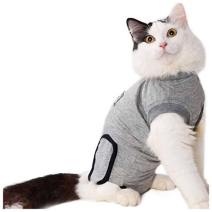 BACKYARD FAMILY「猫 術後服 通販 服 ねこ 傷舐め防止 手術後 エリザベスカラー の代用 洋服 ウェア 術後ウェア」|その他|