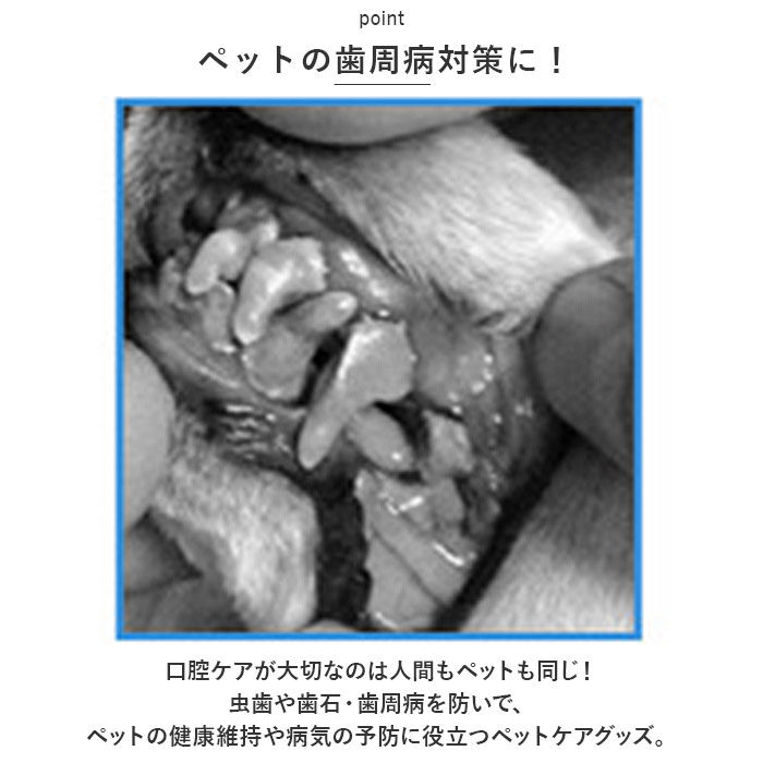 BACKYARD FAMILY「ペット 歯ブラシ 通販 ペット歯ブラシ 歯磨き 歯ぶらし 指サック 指歯ブラシ ペット用指歯ブラシ」|その他|
