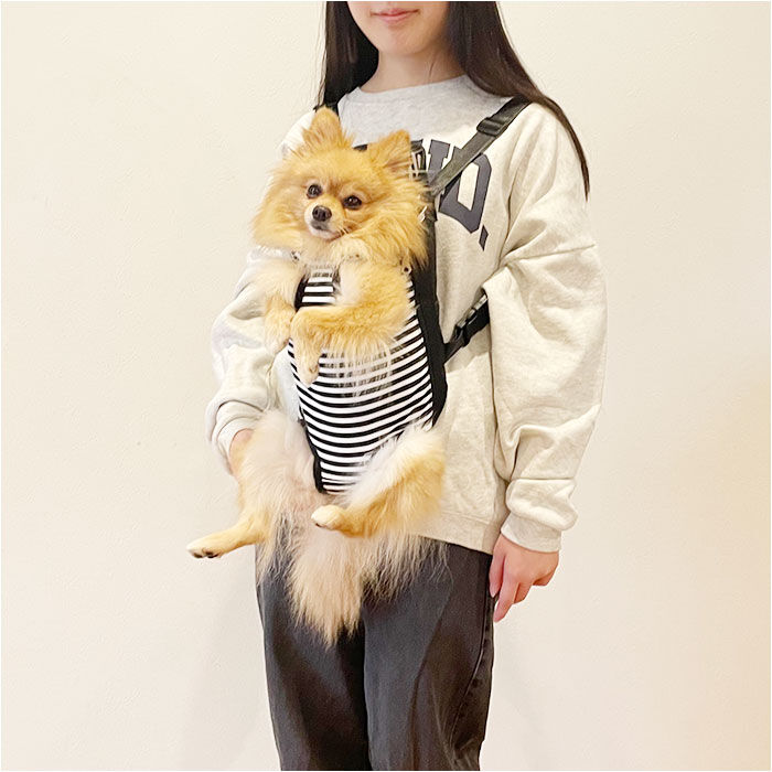 BACKYARD FAMILY「犬 抱っこ紐 通販 抱っこひも おんぶ紐 ポータブル抱っこひも 2way ペット イネ いぬ ネコ」|その他|