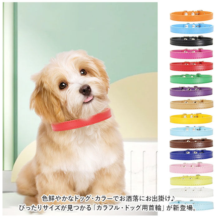 BACKYARD FAMILY「首輪犬 通販 犬の首輪 犬用首輪 犬 いぬ イヌ 猫 ねこ ネコ ペット 首輪 くびわ 革 レザー」|その他|