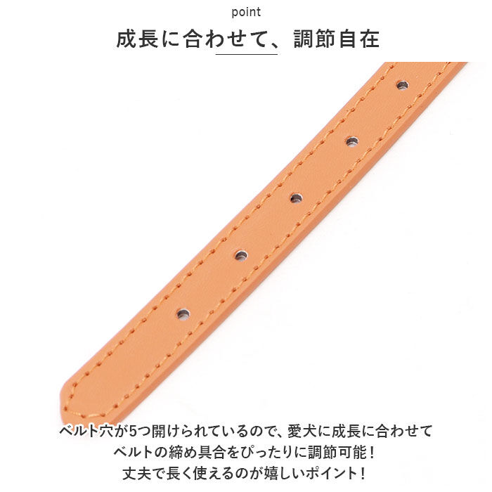 BACKYARD FAMILY「首輪犬 通販 犬の首輪 犬用首輪 犬 いぬ イヌ 猫 ねこ ネコ ペット 首輪 くびわ 革 レザー」|その他|
