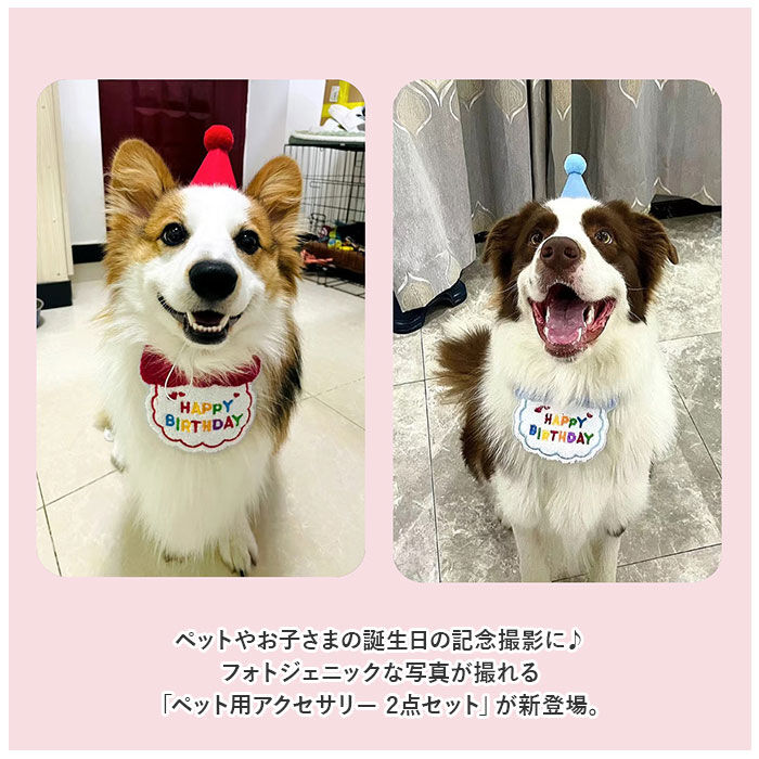 BACKYARD FAMILY「犬 誕生日 帽子 通販 バースデー 犬猫 アクセサリー 首 スタイ ハット よだれかけ バンダナ」|その他|