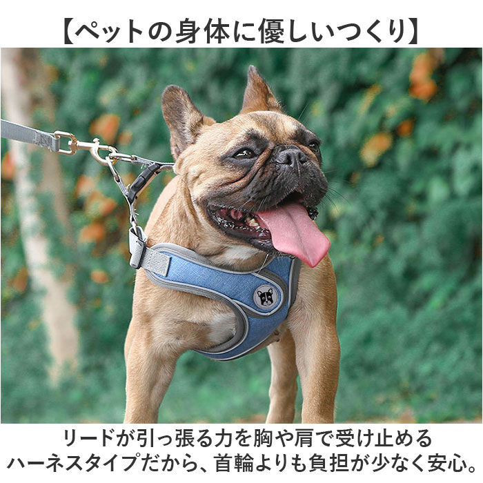 BACKYARD FAMILY「ハーネスリード 犬 通販 ハーネス リード付き ハーネスリードセット ハーネス＆リード 胴輪 首輪」|その他|
