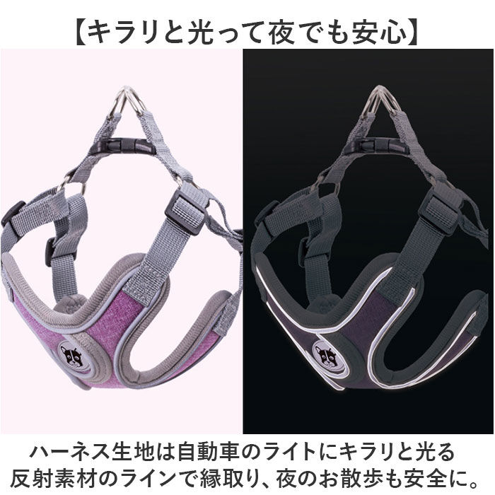 BACKYARD FAMILY「ハーネスリード 犬 通販 ハーネス リード付き ハーネスリードセット ハーネス＆リード 胴輪 首輪」|その他|