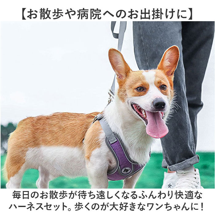 BACKYARD FAMILY「ハーネスリード 犬 通販 ハーネス リード付き ハーネスリードセット ハーネス＆リード 胴輪 首輪」|その他|