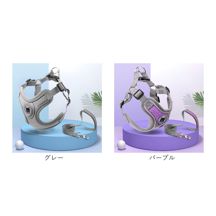 BACKYARD FAMILY「ハーネスリード 犬 通販 ハーネス リード付き ハーネスリードセット ハーネス＆リード 胴輪 首輪」|その他|