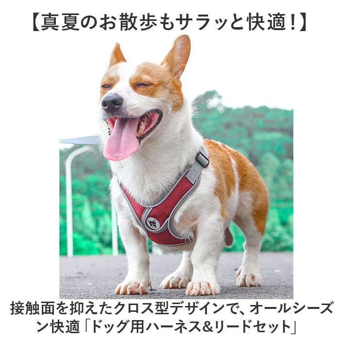 BACKYARD FAMILY「ハーネスリード 犬 通販 ハーネス リード付き ハーネスリードセット ハーネス＆リード 胴輪 首輪」|その他|