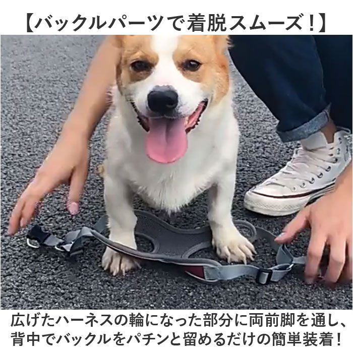 BACKYARD FAMILY「ハーネスリード 犬 通販 ハーネス リード付き ハーネスリードセット ハーネス＆リード 胴輪 首輪」|その他|