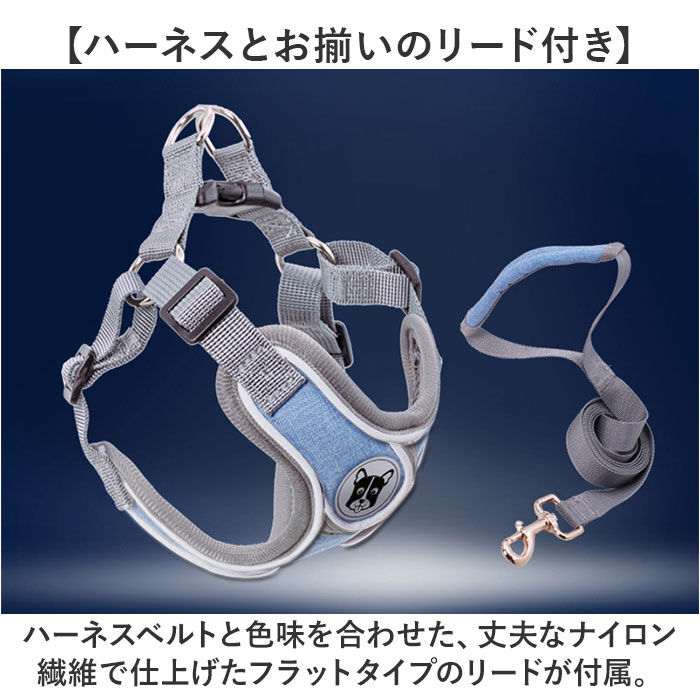 BACKYARD FAMILY「ハーネスリード 犬 通販 ハーネス リード付き ハーネスリードセット ハーネス＆リード 胴輪 首輪」|その他|