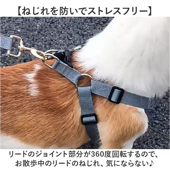 BACKYARD FAMILY「ハーネスリード 犬 通販 ハーネス リード付き ハーネスリードセット ハーネス＆リード 胴輪 首輪」|その他|