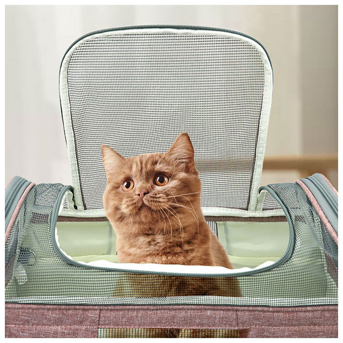 BACKYARD FAMILY「ペットキャリー 折りたたみバッグ 通販 ボストンバッグ 犬 猫 キャリーバック」|その他|