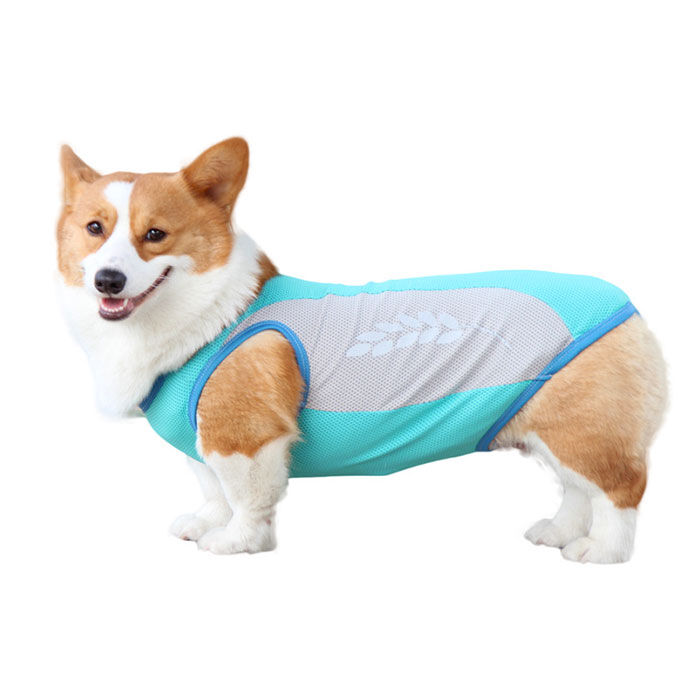 BACKYARD FAMILY「クールベスト 犬用 通販 犬 クーリングベスト 夏 クール ベスト 犬服 ドッグウェア いぬ イヌ」|その他|
