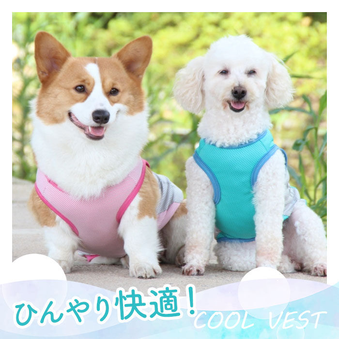 BACKYARD FAMILY「クールベスト 犬用 通販 犬 クーリングベスト 夏 クール ベスト 犬服 ドッグウェア いぬ イヌ」|その他|