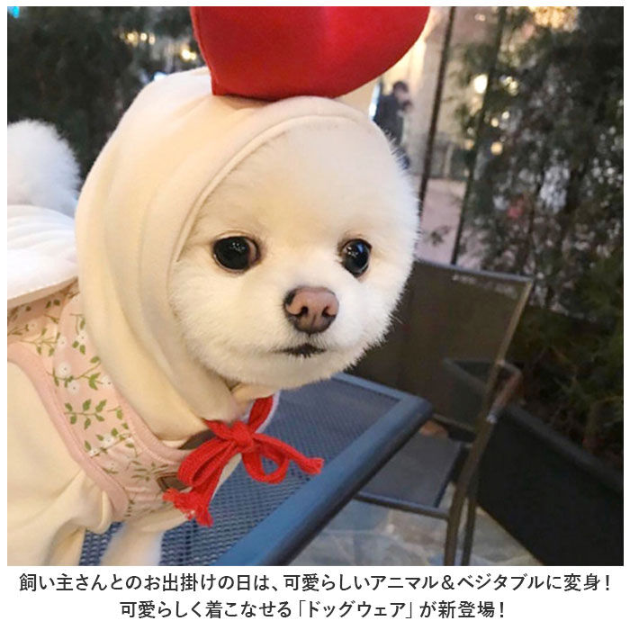 BACKYARD FAMILY「ドッグウェア 通販 犬服 ペット服 ペットウェア 着ぐるみ パーカー 冬服 犬 いぬ 小型犬」|その他|