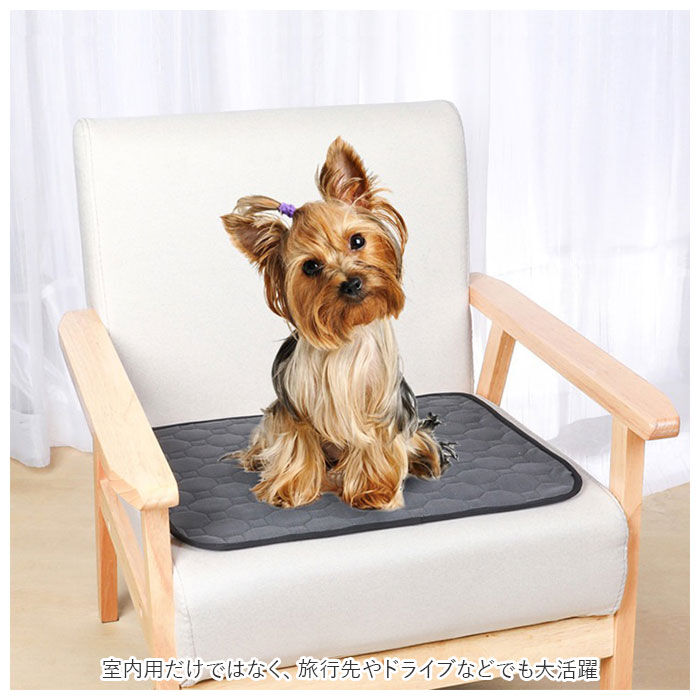 BACKYARD FAMILY「犬 ペットシーツ 通販 ペットシート ペットマット おしっこマット おしっこパッド トイレシート」|その他|