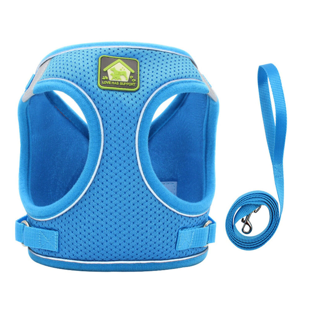 BACKYARD FAMILY「犬 リード ハーネス 通販 胴輪 ショルダーハーネス リードセット セット ハーネスリード 反射」|その他|ブルー1