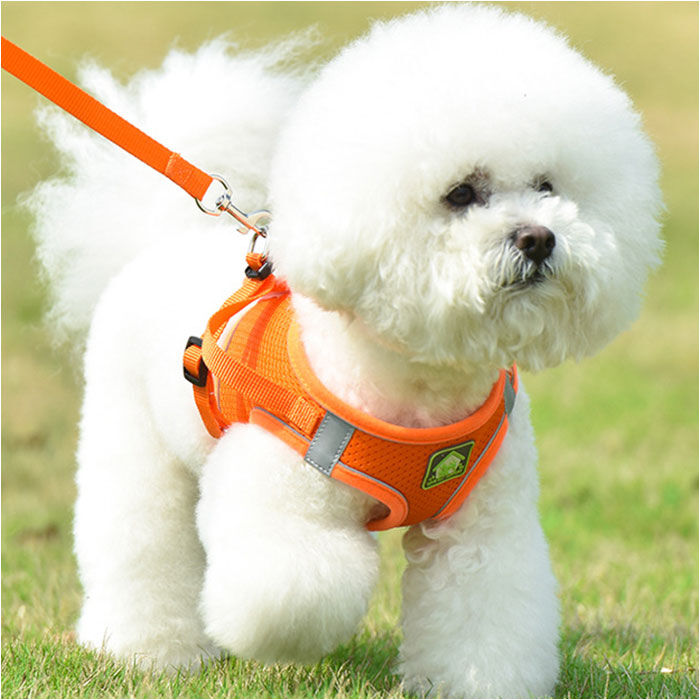 BACKYARD FAMILY「犬 リード ハーネス 通販 胴輪 ショルダーハーネス リードセット セット ハーネスリード 反射」|その他|