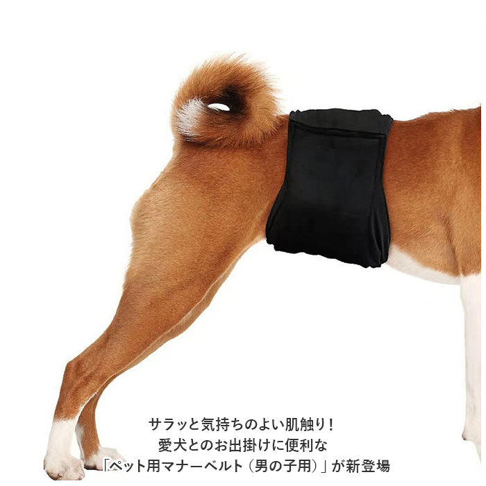BACKYARD FAMILY「マナーベルト 犬 ペット 通販 マナーバンド オムツカバー おむつカバー しつけ おしっこ」|その他|