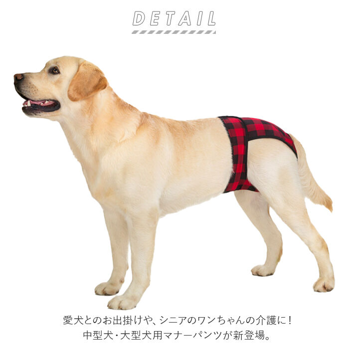 BACKYARD FAMILY「犬 マナーパンツ 通販 中型犬 大型犬 サニタリーパンツ マナーバンド オムツカバー ドッグウェア」|その他|