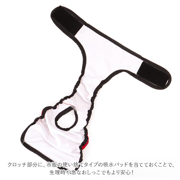 BACKYARD FAMILY「犬 マナーパンツ 通販 中型犬 大型犬 サニタリーパンツ マナーバンド オムツカバー ドッグウェア」|その他|
