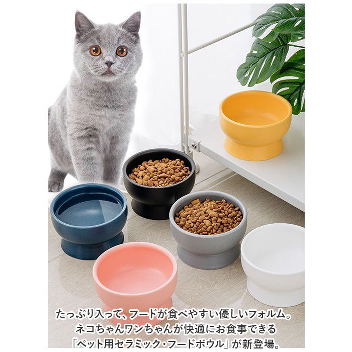 BACKYARD FAMILY「ペット フードボウル 陶器 通販 食器 餌皿 エサ皿 餌入れ ペットボウル エサ入れ お皿」|その他|