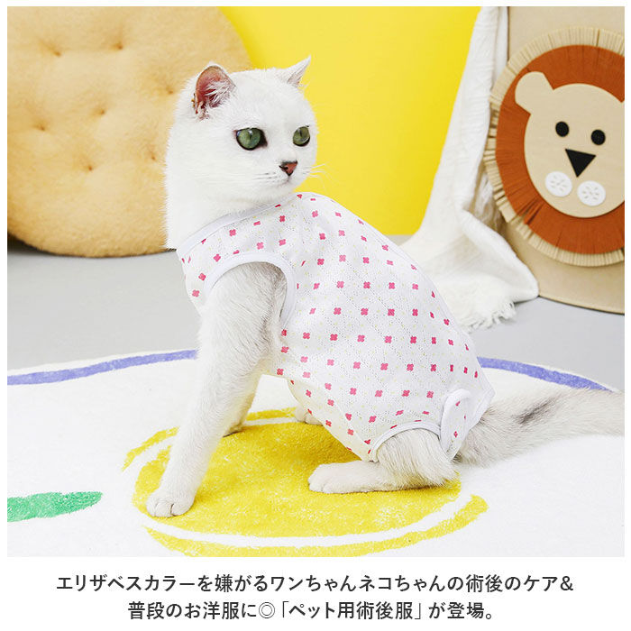 BACKYARD FAMILY「術後服 ペット 術後着 かわいい 通販 術後ウェア 術後 介護服 寝間着 パジャマ ドッグウェア」|その他|