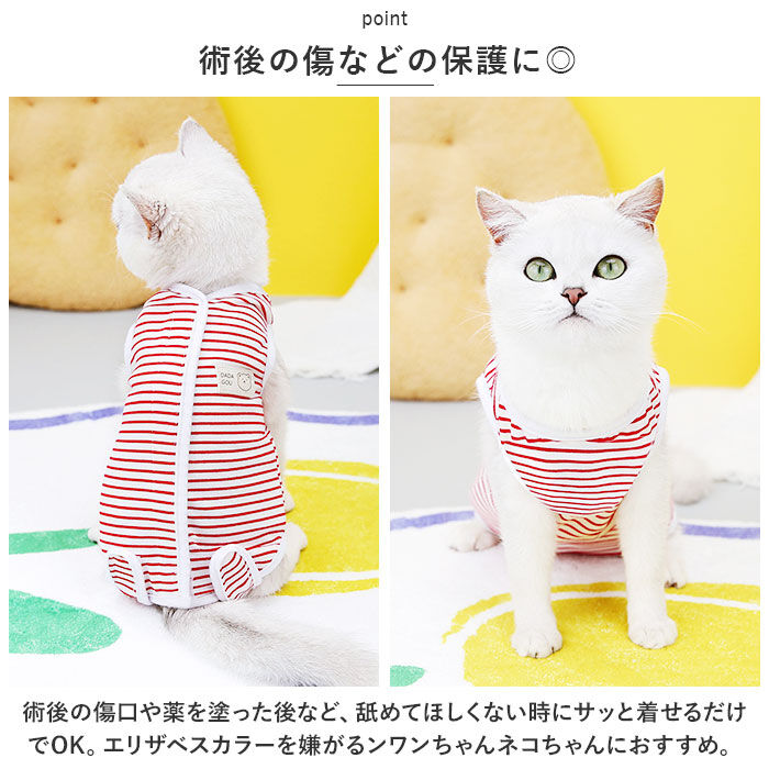 BACKYARD FAMILY「術後服 ペット 術後着 かわいい 通販 術後ウェア 術後 介護服 寝間着 パジャマ ドッグウェア」|その他|