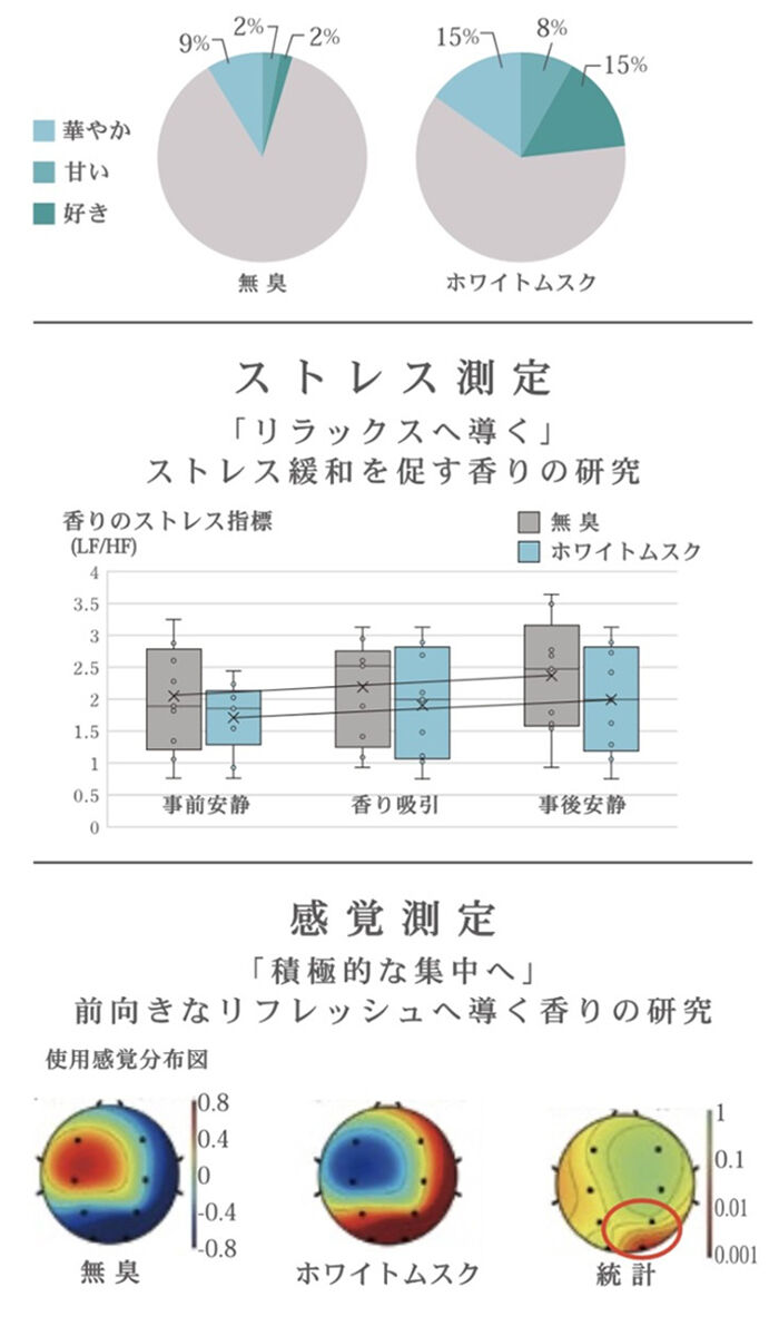 BACKYARD FAMILY「サイエンスアロマ バスタブレット 通販 入浴剤 炭酸 炭酸入浴剤 バスフィズ ホワイトムスク」|入浴剤・バスグッズ|