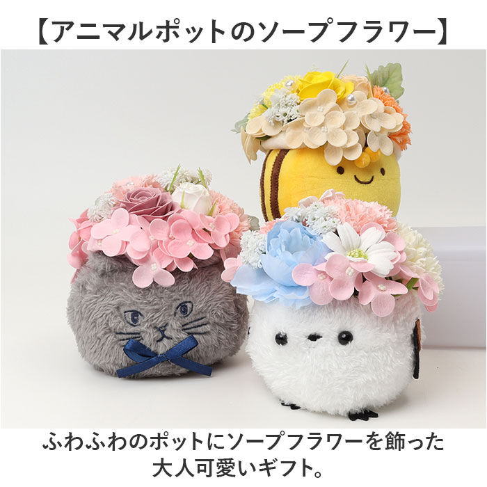 BACKYARD FAMILY「Green house グリーンハウス ソープフラワー アレンジメント M 通販 フェイクフラワー」|その他|