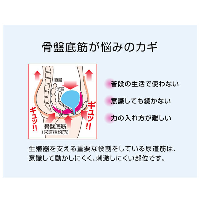 BACKYARD FAMILY「骨盤底筋トレーニング 通販 骨盤底筋エクササイズクッション キュットブル 骨盤底筋 クッション」|クッション・クッションカバー|