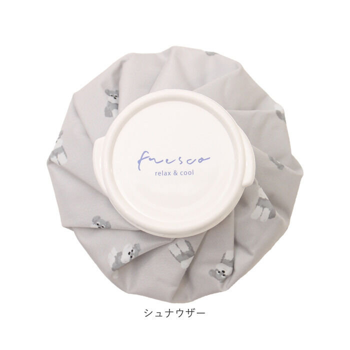 BACKYARD FAMILY「氷のう 小さめ 通販 氷嚢 アイスバッグ 暑さ対策グッズ アイシング 首 膝 肘 ひんやりグッズ」|その他|
