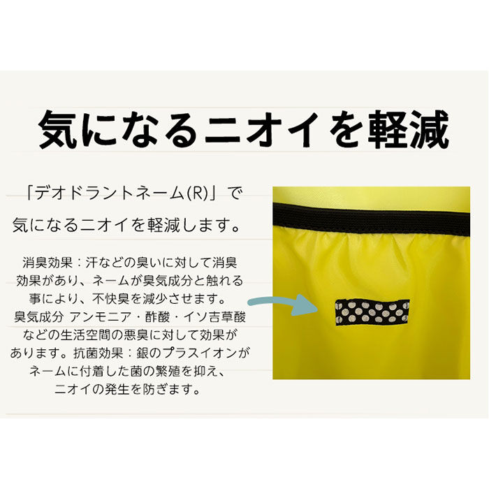 BACKYARD FAMILY「ハンナフラ リュック TNS-SQRC 通販 リュックサック バックパック デイパック 軽量 軽い」|リュック|