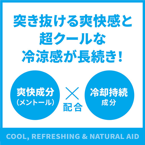  「シーブリーズ スーパークールボディシャンプー (490mL)」|ボディクレンジング|