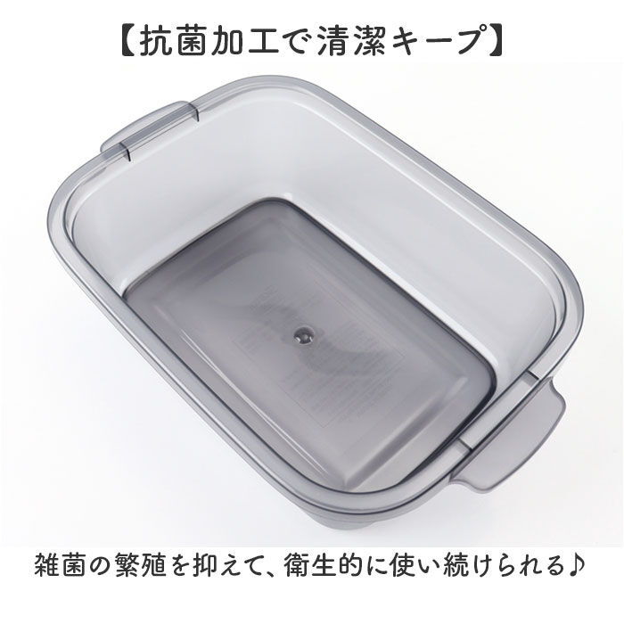 BACKYARD FAMILY「スケーター 保存容器 通販 日本製 フードコンテナ skater 弁当箱 お弁当箱 キャラクター」|食器・キッチングッズ|