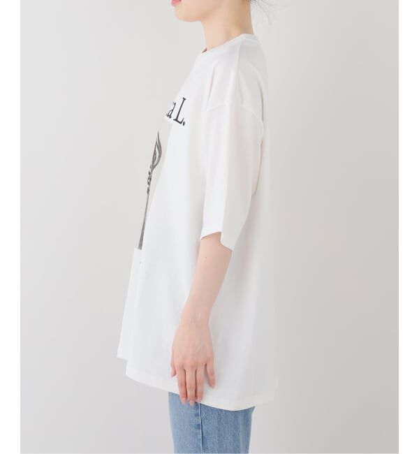 FRAMeWORK「JOHNBULL/ジョンブル karl blossfeldt cucurbita L T」|Tシャツ・カットソー|