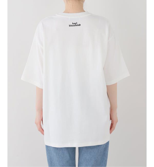 FRAMeWORK「JOHNBULL/ジョンブル karl blossfeldt cucurbita L T」|Tシャツ・カットソー|